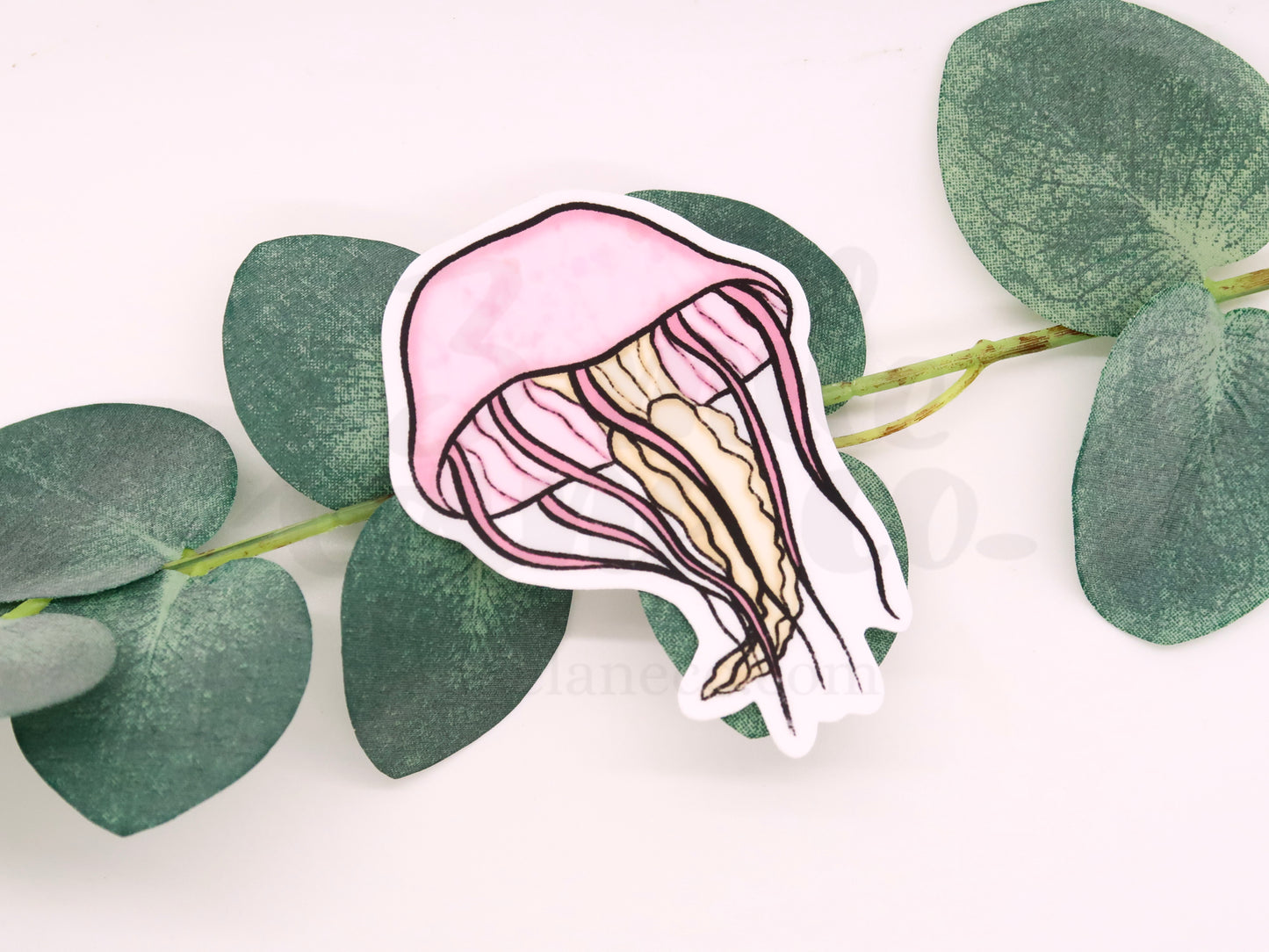 Jelly Fish Waterproof Sticker